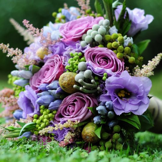 https://www.divawedding.com.tr/wp-content/uploads/2017/01/elbuketi-540x540.jpg