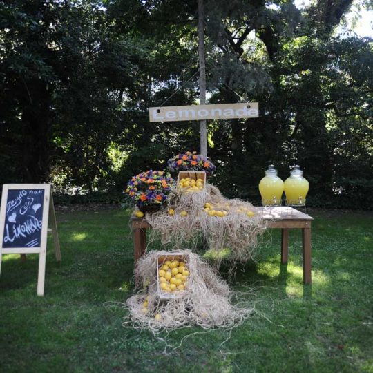 https://www.divawedding.com.tr/wp-content/uploads/2017/01/izmir-dekorasyon-dugun-organizasyon-susleme-2-540x540.jpg
