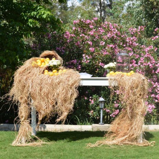 https://www.divawedding.com.tr/wp-content/uploads/2017/01/izmir-dekorasyon-dugun-organizasyon-susleme-3-540x540.jpg