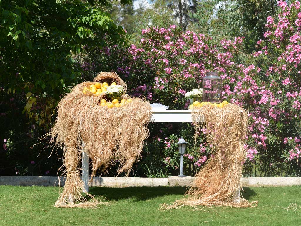 https://www.divawedding.com.tr/wp-content/uploads/2017/01/izmir-dekorasyon-dugun-organizasyon-susleme-3.jpg