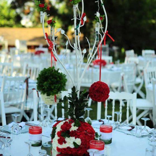 https://www.divawedding.com.tr/wp-content/uploads/2017/01/masa-duzeni-izmir-organizasyon-24-540x540.jpg