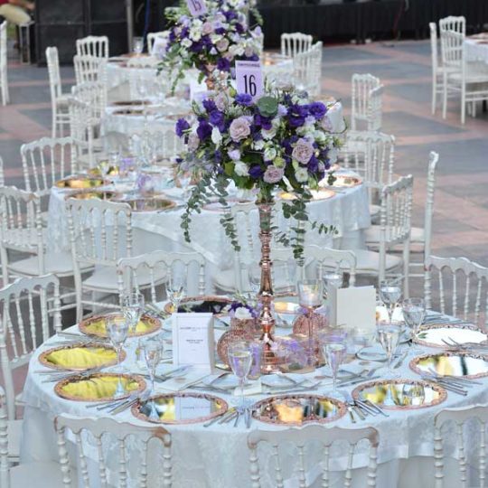 https://www.divawedding.com.tr/wp-content/uploads/2017/01/masa-duzeni-izmir-organizasyon-36-540x540.jpg