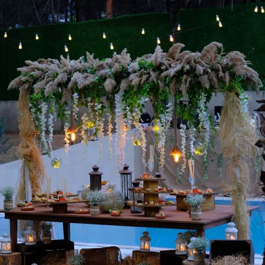 https://www.divawedding.com.tr/wp-content/uploads/2017/01/pampas-540x540.jpg