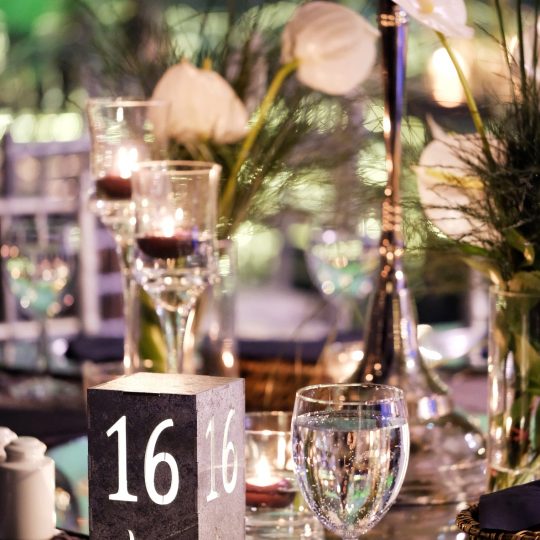 https://www.divawedding.com.tr/wp-content/uploads/2019/02/2019_0216_19194300-01-540x540.jpeg