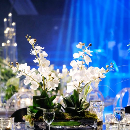 https://www.divawedding.com.tr/wp-content/uploads/2019/02/2019_0216_19210100-01-540x540.jpeg
