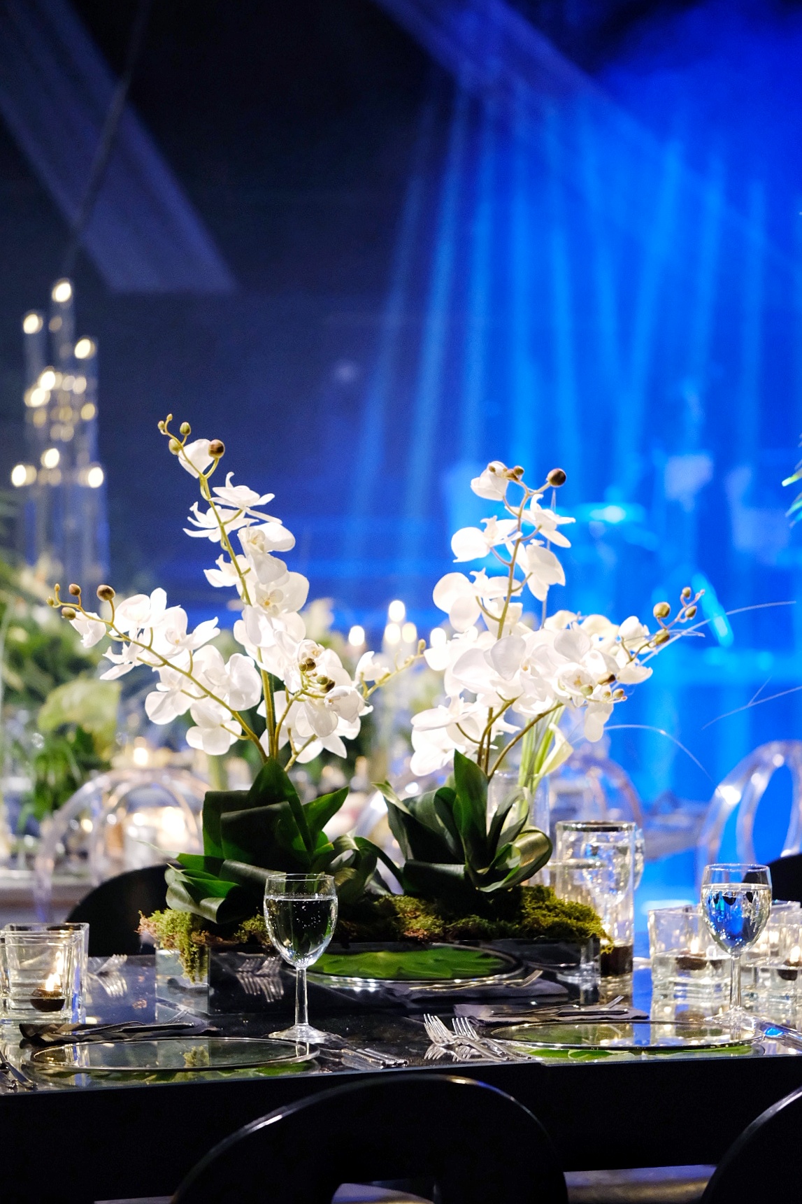 https://www.divawedding.com.tr/wp-content/uploads/2019/02/2019_0216_19210100-01.jpeg