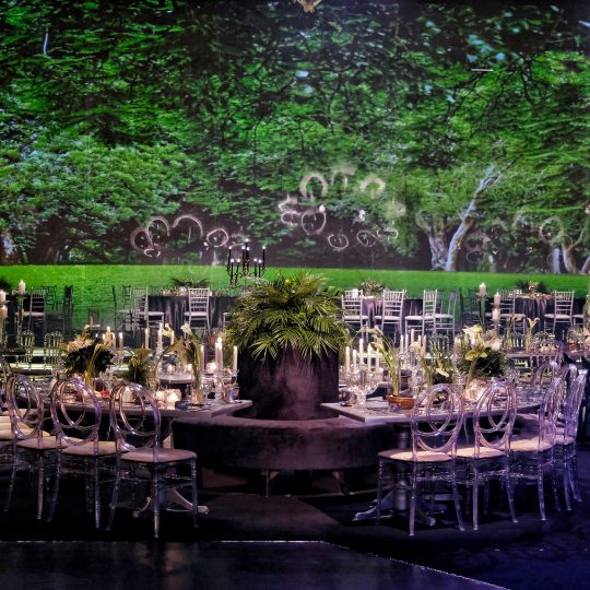 https://www.divawedding.com.tr/wp-content/uploads/2019/02/sedaismaildügün01-540x540.jpeg