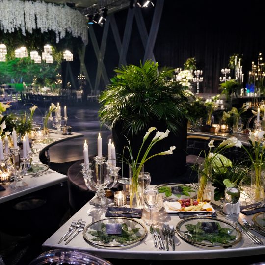 https://www.divawedding.com.tr/wp-content/uploads/2019/02/sedaismaildügün02-540x540.jpeg