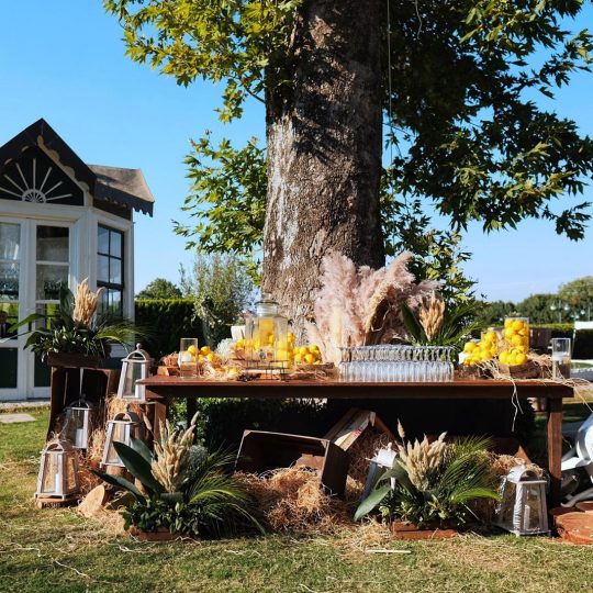 https://www.divawedding.com.tr/wp-content/uploads/2019/07/parcceremonie2-540x540.jpg