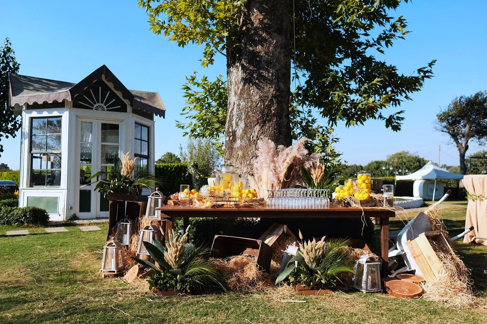 https://www.divawedding.com.tr/wp-content/uploads/2019/07/parcceremonie2.jpg