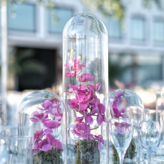 https://www.divawedding.com.tr/wp-content/uploads/2019/09/lavienouvelle-540x540.jpg