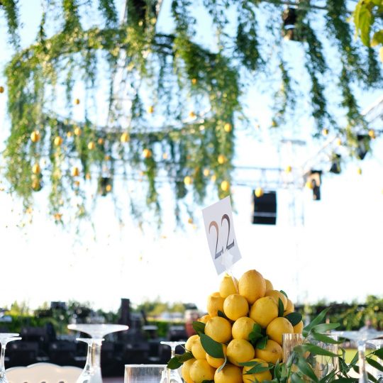 https://www.divawedding.com.tr/wp-content/uploads/2019/09/parcceremonie-540x540.jpg